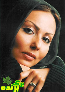 پرستوصالحی / برگ برنده