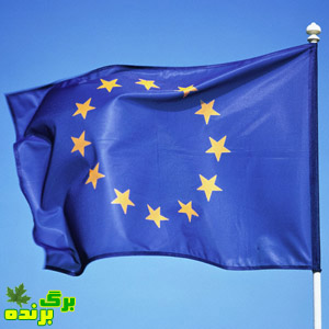 اروپا / برگ برنده