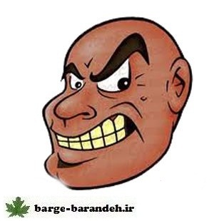 کچل / برگ برنده